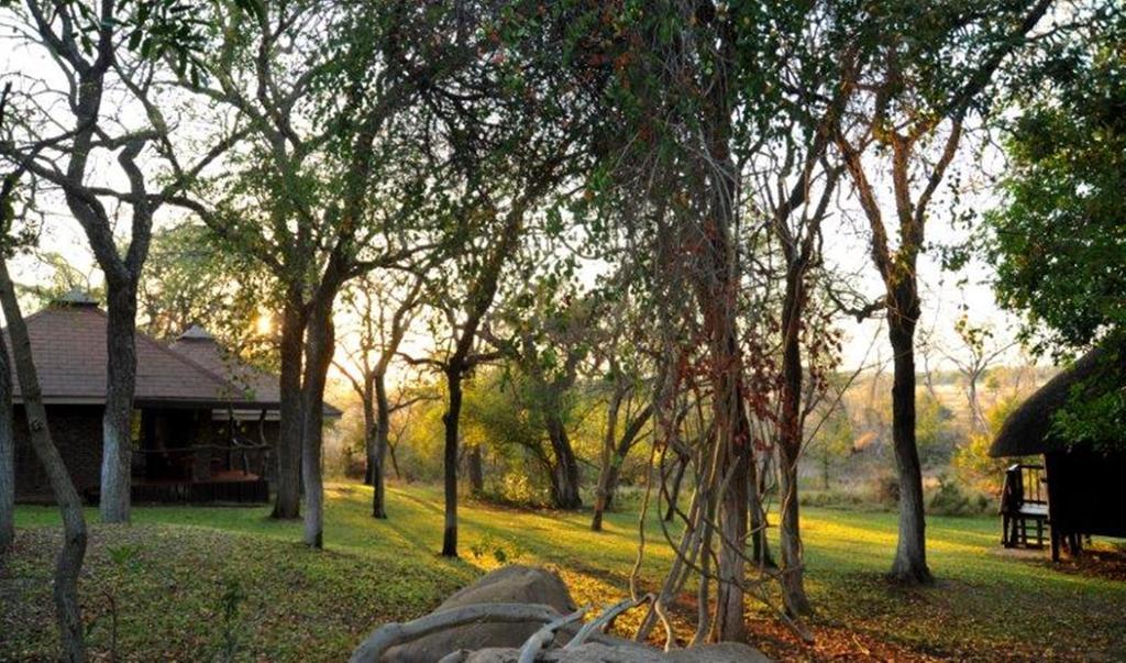Idube Game Reserve Sabi Sand Game Reserve Exteriér fotografie