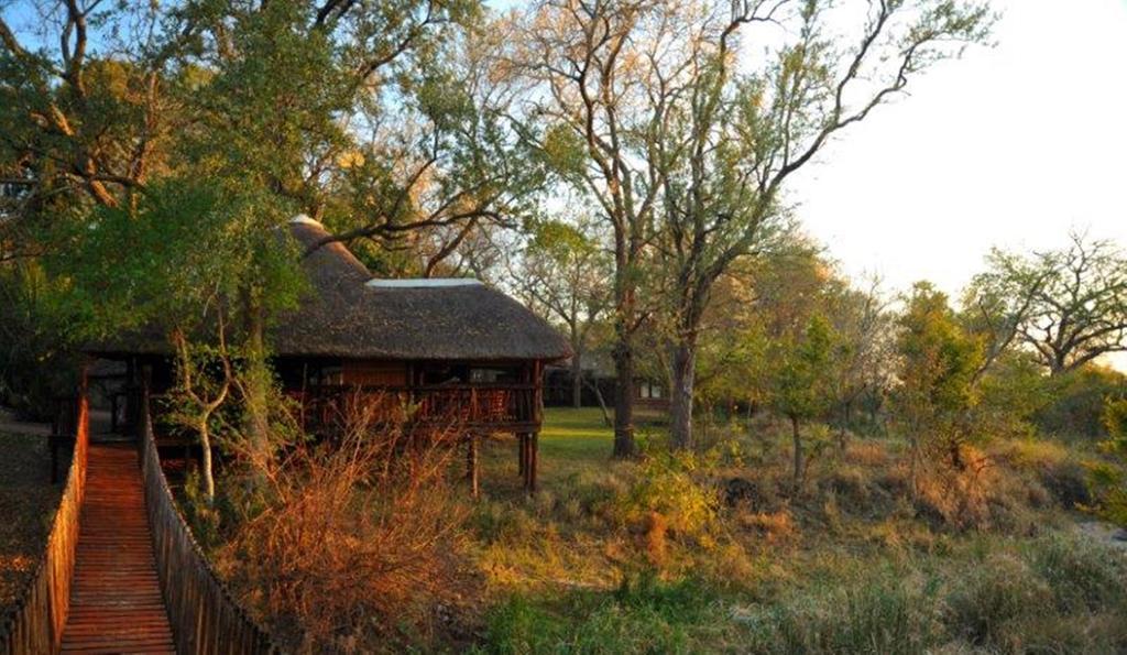 Idube Game Reserve Sabi Sand Game Reserve Pokoj fotografie